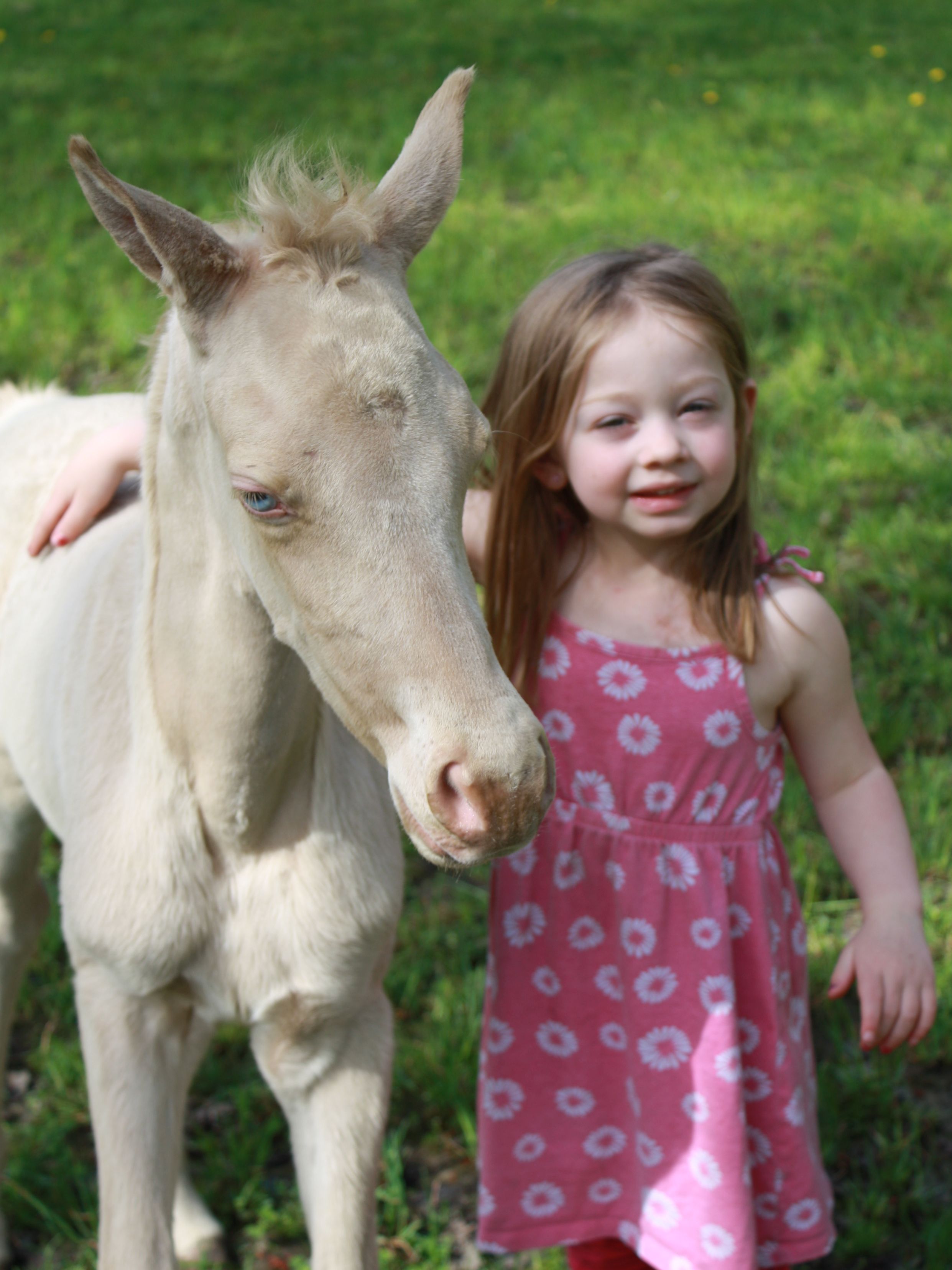 Sparkle Sizzle Twin Filly & My Daughter